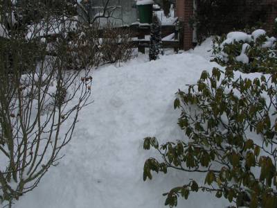 snow hills 1